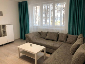 Delight Apartament